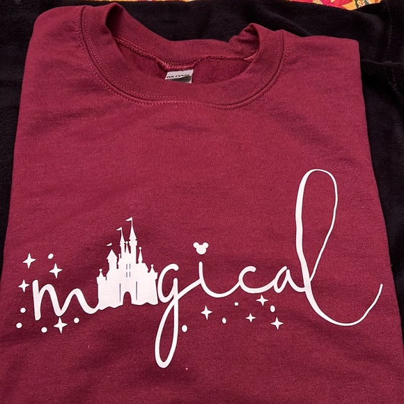 NEW  Disneyland “Magical” Sweatshirt - Picture 1 of 5